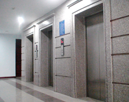 Thang máy công ty Phương Nam