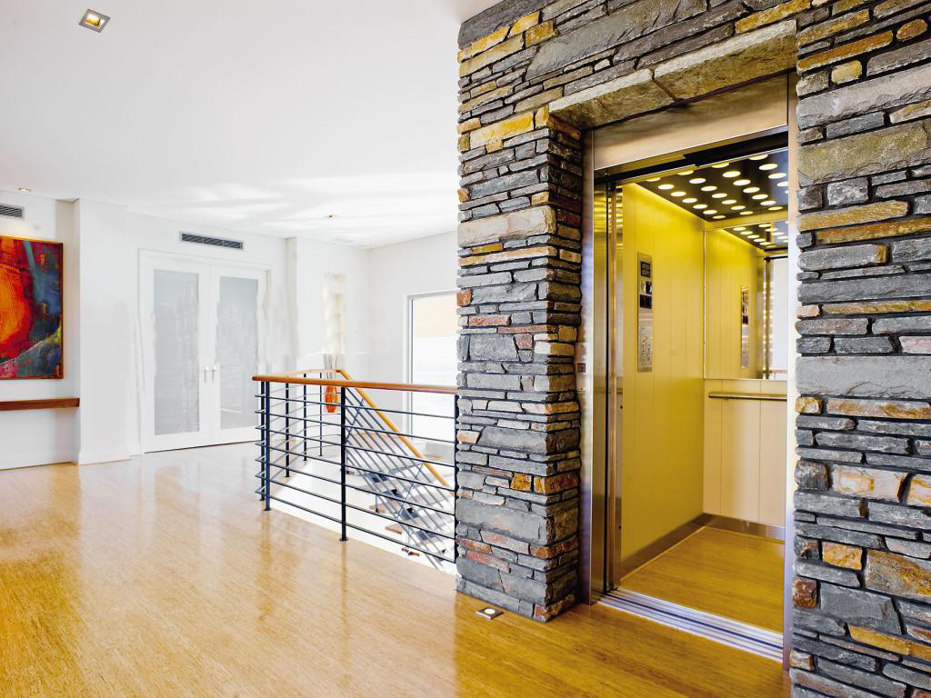 Thang máy nhập khẩu 6